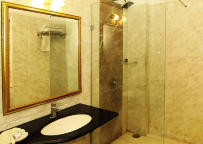udaipur-facility-hotels